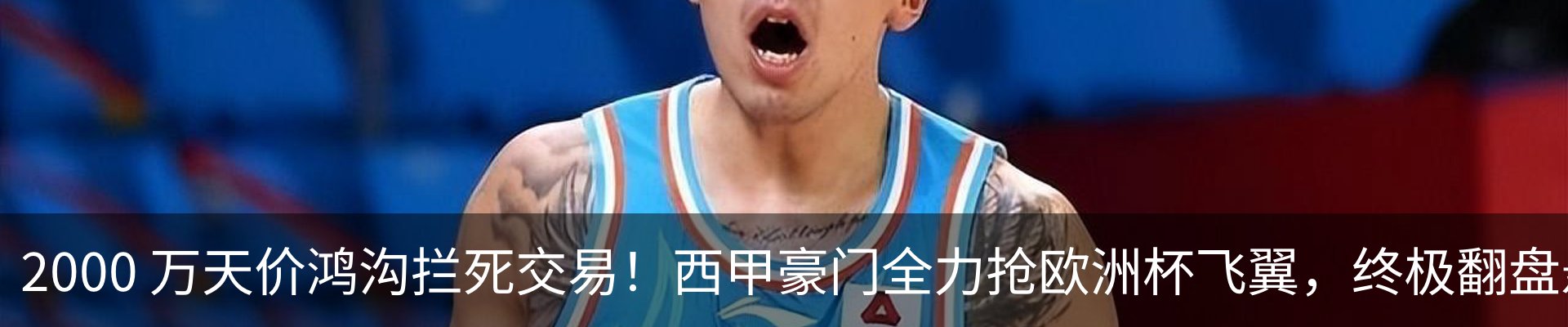 新闻动态